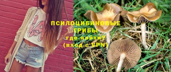 дживик Надым