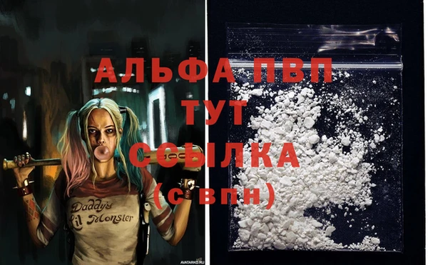 дживик Надым