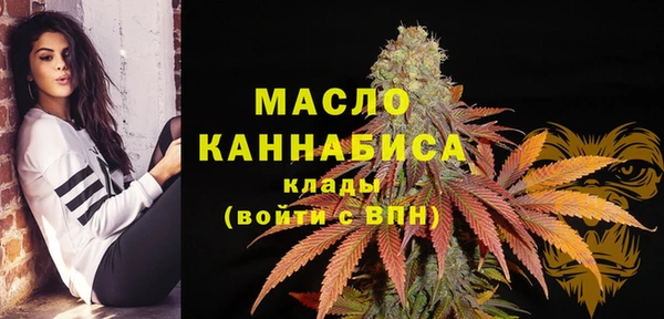 дживик Надым