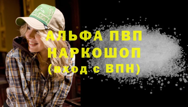 дживик Надым